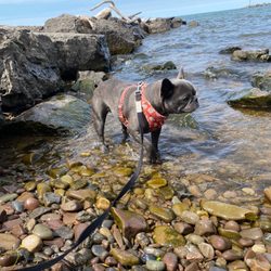 Webster Park