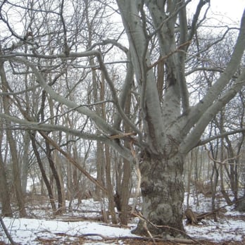 Miantonomi Memorial Park - Parks Near Me - Newport, Rhode Island