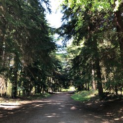 Bedgebury Pinetum and National Gardens