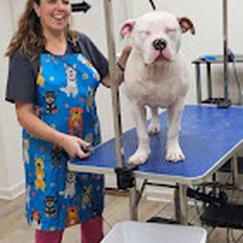 Best Grooming - Pet Groomers Near Me - Cleveland, Tennessee Best Grooming - Pet Groomers Near Me - Cleveland, Tennessee
