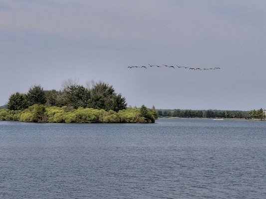 Shelby Farms Park by null