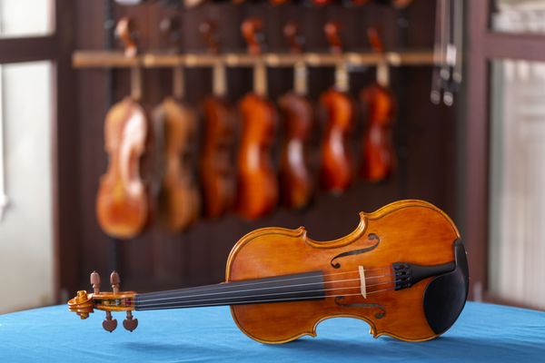 Scherer Violin Shop