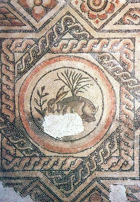 Corinium Museum by null