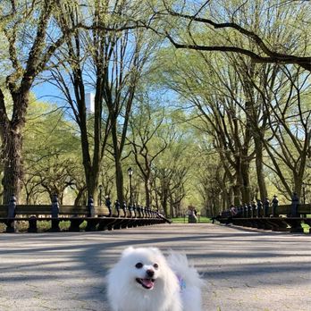 Central Park Conservancy - Parks Near Me - New York, New York