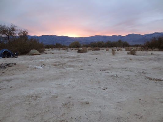 Furnace Creek Campground by null