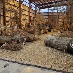Boneyard Archery