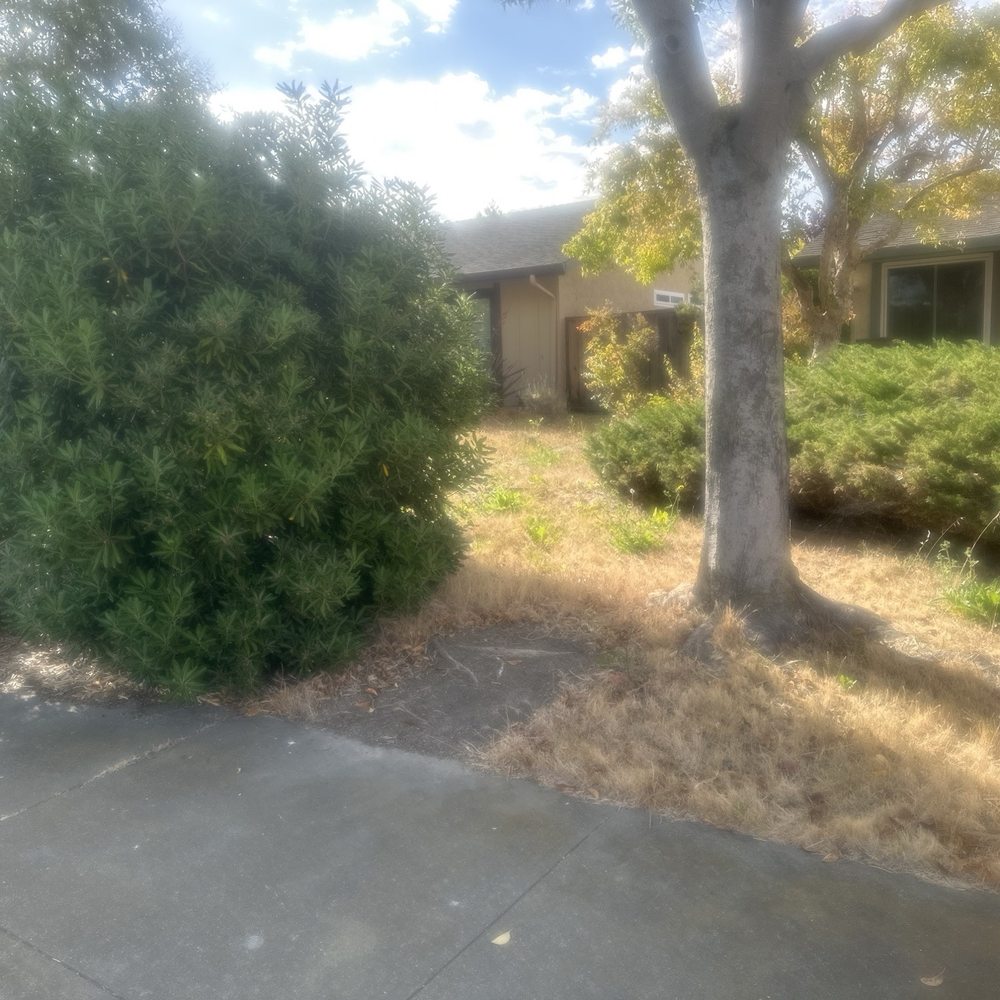 Willow Glen Gardening - Gardeners Near Me