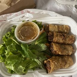Spring Rolls