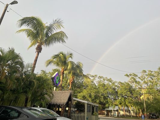 Green Iguana Bar & Grill by null