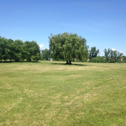 My favorite spot under the Weeping Willow