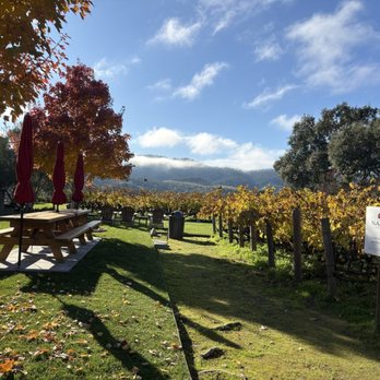 Napa Cellars - View of the Enchanted Hills west of Oakville, taken in November. - Wineries Near Me - Oakville, California