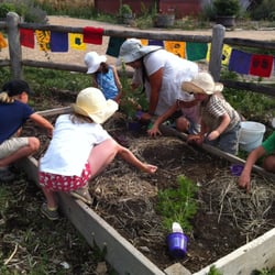 Boulder Valley Waldorf School - 3rd graders planting a 3 Sisters Garden