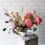Photo of Celsia Florist