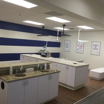 Romney Pediatric Dentistry - Exam area - Pediatric Dentists Near Me - Bartonville, Texas Romney Pediatric Dentistry - Exam area - Pediatric Dentists Near Me - Bartonville, Texas