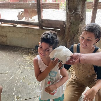 Boo Boo Zoo - Meet and greet with the birds - Zoos Near Me - Haiku, Hawaii