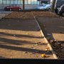Waz Pétanque Cup