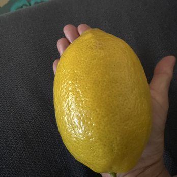 Walmart Supercenter - Huge lemon- 64 cents - 5/16/26 - Grocery Near Me - Las Vegas, Nevada Walmart Supercenter - Huge lemon- 64 cents - 5/16/26 - Grocery Near Me - Las Vegas, Nevada