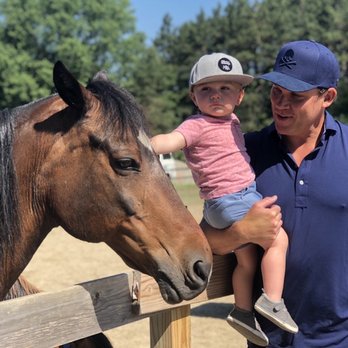 Carousel Acres - Petting some of the horses - Attraction Farms Near Me - South Lyon, Michigan
