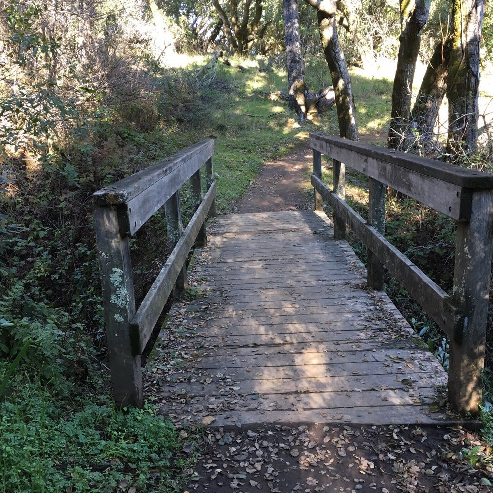 Thornewood Preserve - Same Bridge taken heading back to car at 895-897 entrance. - Parks Near Me - Woodside, California Thornewood Preserve - Same Bridge taken heading back to car at 895-897 entrance. - Parks Near Me - Woodside, California