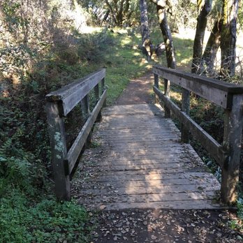 Thornewood Preserve - Same Bridge taken heading back to car at 895-897 entrance. - Parks Near Me - Woodside, California Thornewood Preserve - Same Bridge taken heading back to car at 895-897 entrance. - Parks Near Me - Woodside, California