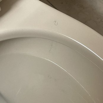 Circus Circus - Pubic hair, dirty toilet - Hotels Near Me - Las Vegas, Nevada Circus Circus - Pubic hair, dirty toilet - Hotels Near Me - Las Vegas, Nevada