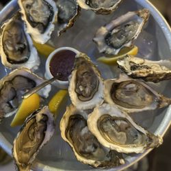 Brasserie du Sud - Oysters