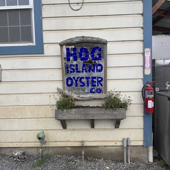 Hog Island Oyster - Seafood Near Me - Marshall, California Hog Island Oyster - Seafood Near Me - Marshall, California