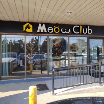 Meow Club - Front Entrance - Pet Boarding Near Me - Markham, Ontario