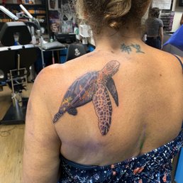 Sea turtle Sea turtle