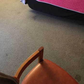 Golden Arrow Motel - Mom...!  Gary dropped a deuce in the living room again ! LOL - Hotels Near Me - Lamar, Colorado