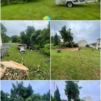 1. E&D Tree Services