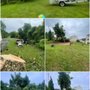 E&D Tree Services