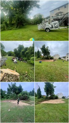 E&D Tree Services on Yelp