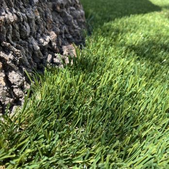 Go Green - Go Green did an awesome job working the grass around this tree. - Artificial Turf Near Me Go Green - Go Green did an awesome job working the grass around this tree. - Artificial Turf Near Me