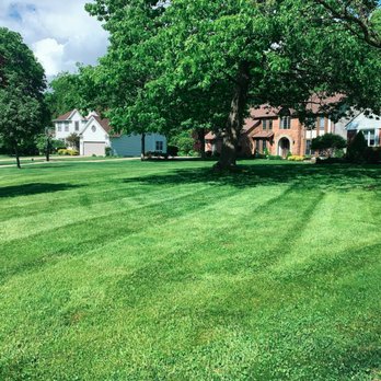 Precise Lawn Care - a freshly mowed lawn - Landscaping Near Me - Berea, Ohio