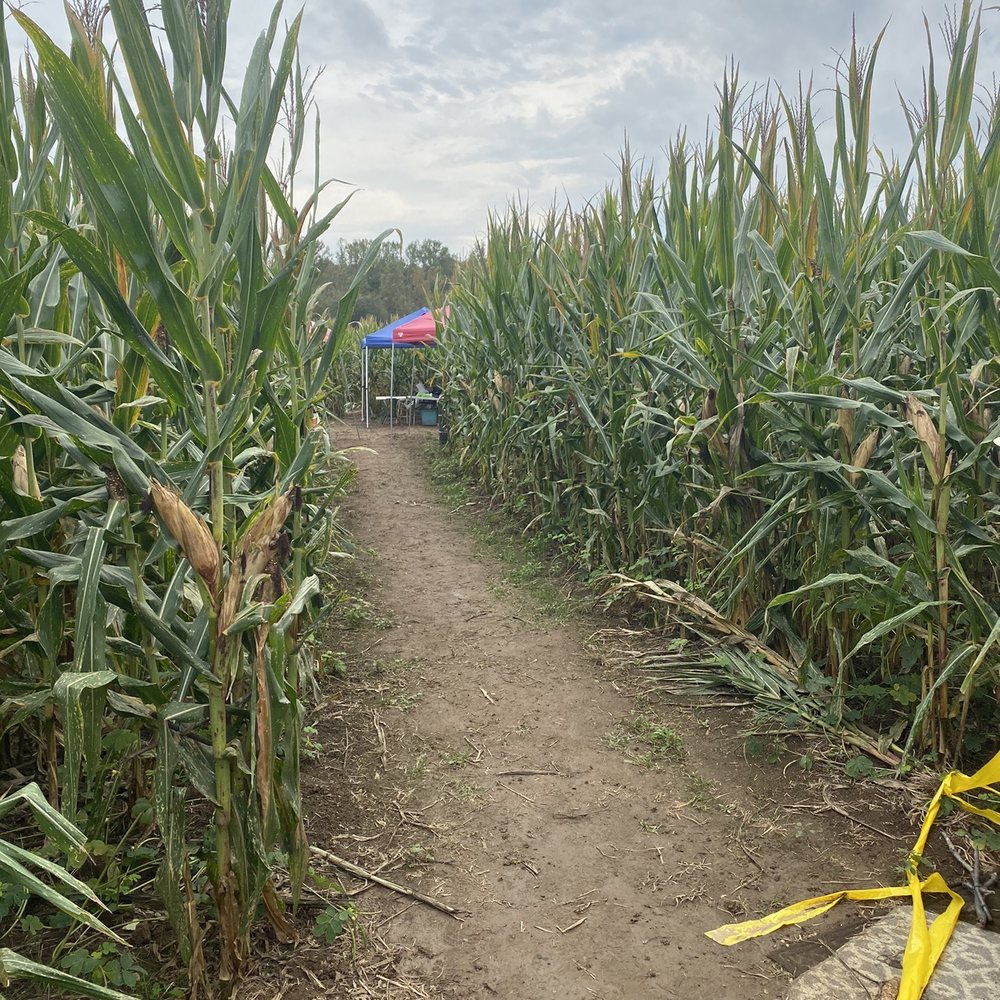 Uncle Shucks Corn Maze and Pumpkin Patch - Pumpkin Patches Near Me - Dawsonville, Georgia Uncle Shucks Corn Maze and Pumpkin Patch - Pumpkin Patches Near Me - Dawsonville, Georgia
