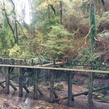 Macleay Park - Crumbly old wooden bridge - Parks Near Me - Portland, Oregon Macleay Park - Crumbly old wooden bridge - Parks Near Me - Portland, Oregon
