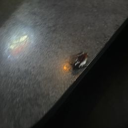 There was a big cockroach at our table There was a big cockroach at our table
