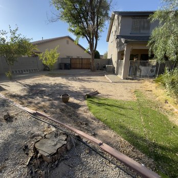 Unique Choice Design - Stump leftover by other pricier lanscapers - Tree Services Near Me