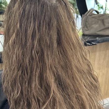 Urban Bloom Curl Studio - The (yuk) before... - Hair Stylists Near Me - Tempe, Arizona Urban Bloom Curl Studio - The (yuk) before... - Hair Stylists Near Me - Tempe, Arizona