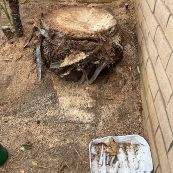 J A G S Tree Service - Masonry/Concrete Near Me J A G S Tree Service - Masonry/Concrete Near Me