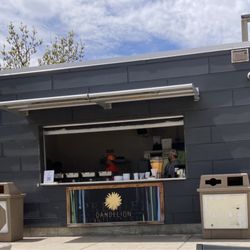 Dandelion Pop-Up - The pop-up. Today is Curry in a Hurry