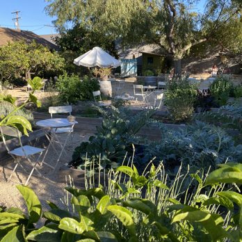 Dart Coffee Co - Dreamy outdoor garden seating - Coffee Roasteries Near Me - Santa Barbara, California