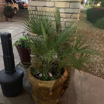 Old Mexico Cantina & Grille - Mexican Near Me - Gadsden, Alabama