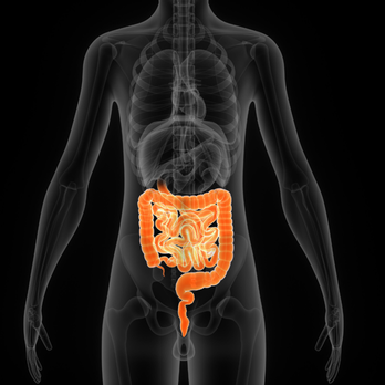 United Gastroenterologists - Gastroenterologist Near Me - Menifee, California United Gastroenterologists - Gastroenterologist Near Me - Menifee, California