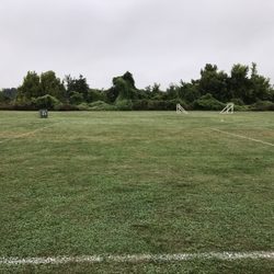 A few of the Soccer Fields