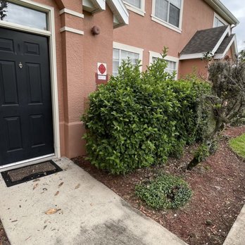 Mower Men - Antes - Landscaping Near Me - Orlando, Florida Mower Men - Antes - Landscaping Near Me - Orlando, Florida