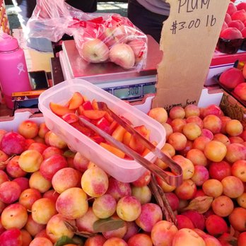 Pasadena Farmers Market - Cherry plums - Farmers Market Near Me - Pasadena, California Pasadena Farmers Market - Cherry plums - Farmers Market Near Me - Pasadena, California