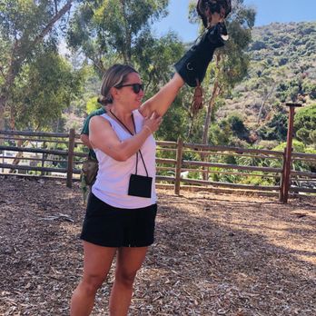 Catalina Falconry Experience - Active Life Near Me - Avalon, California Catalina Falconry Experience - Active Life Near Me - Avalon, California