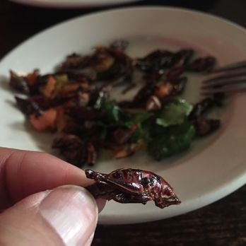 Kie Gol Lanee - Chapulines (Grasshopper) - Mexican Near Me - Chicago, Illinois Kie Gol Lanee - Chapulines (Grasshopper) - Mexican Near Me - Chicago, Illinois